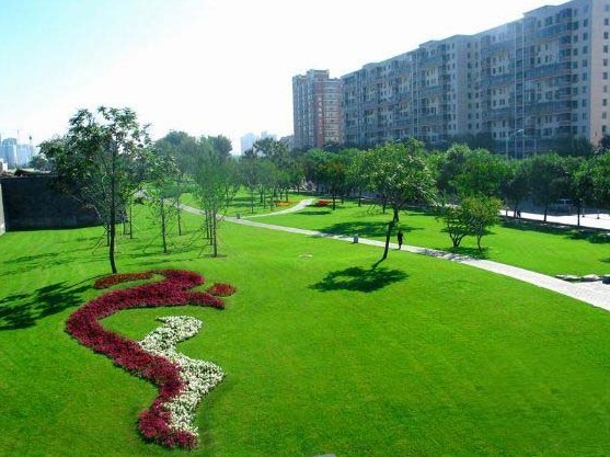 石家庄草坪,河北草坪,草坪价格,石家庄绿化公司,河北绿化公司 石家庄草坪,河北草坪,草坪价格,石家庄绿化公司,河北绿化公司